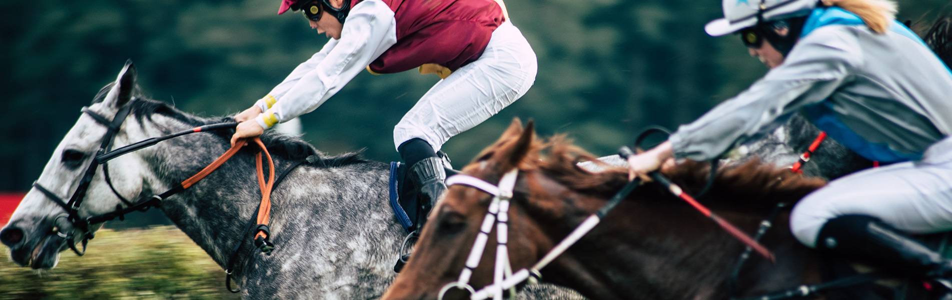 All the greatest moments of thoroughbred