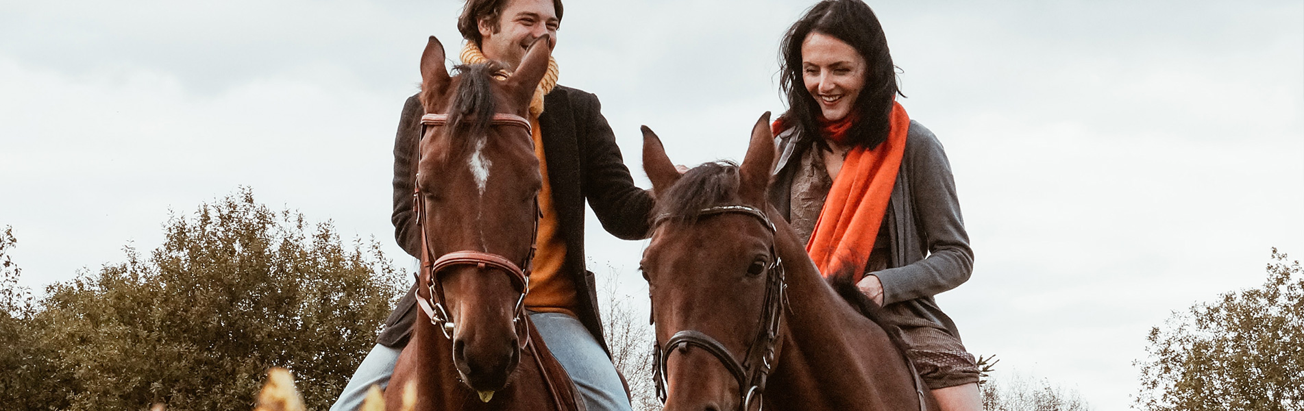 What do we like about horses the most?